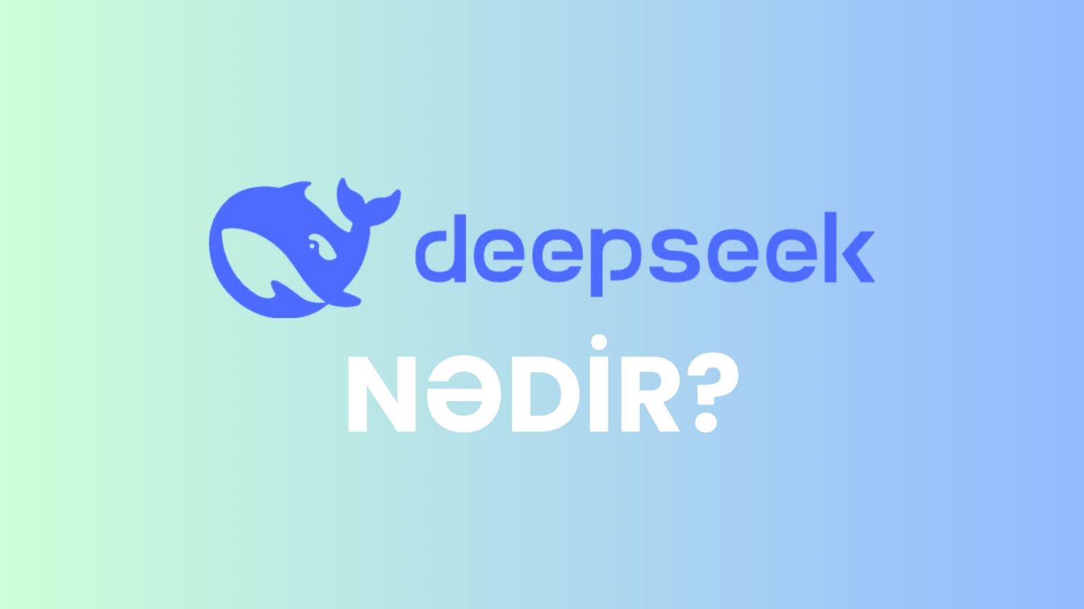 Deepseek nədir?